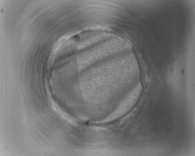 X0000051890193200507151947