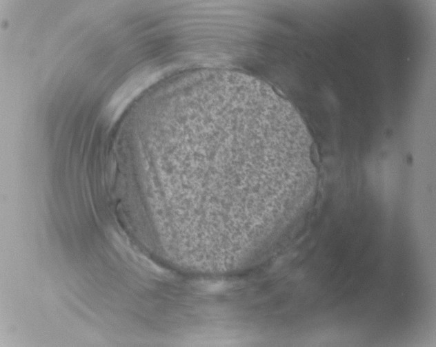 X0000051890194200507151947