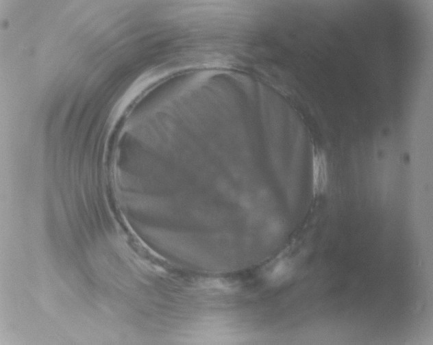 X0000051890195200507151947