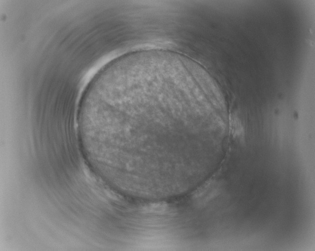 X0000051890196200507151947