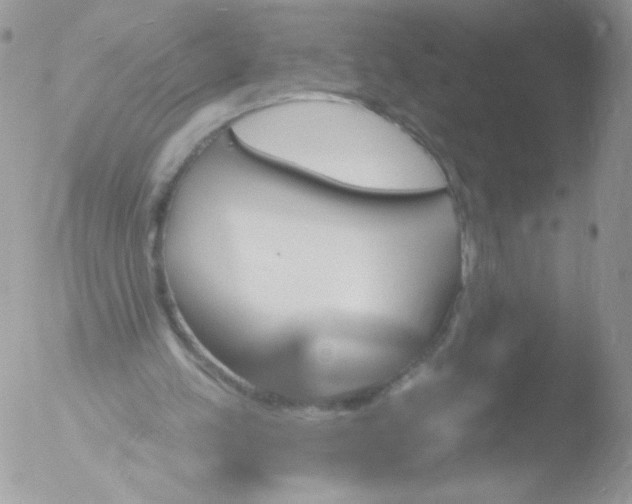 X0000051890197200507151947