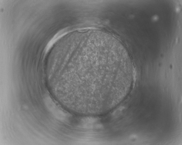 X0000051890198200507151947