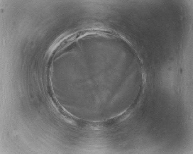 X0000051890199200507151947