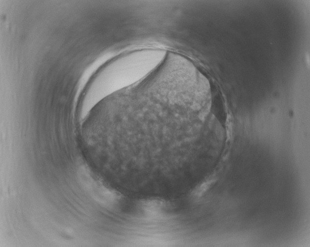 X0000051890200200507151947