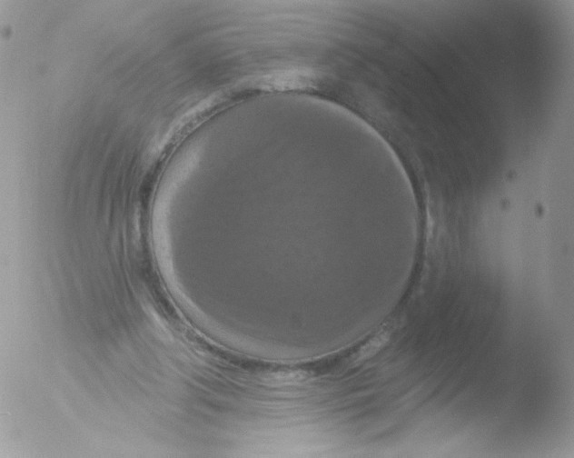 X0000051890202200507151947