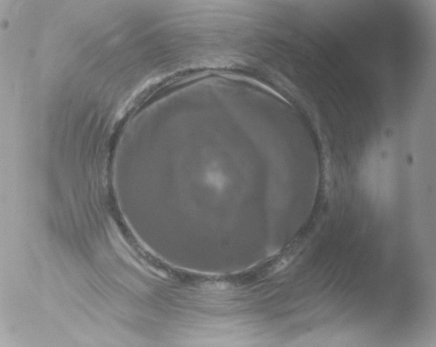 X0000051890203200507151947