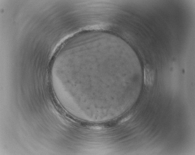 X0000051890204200507151947