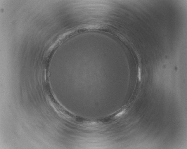 X0000051890205200507151947