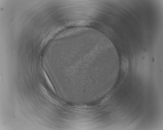 X0000051890206200507151947