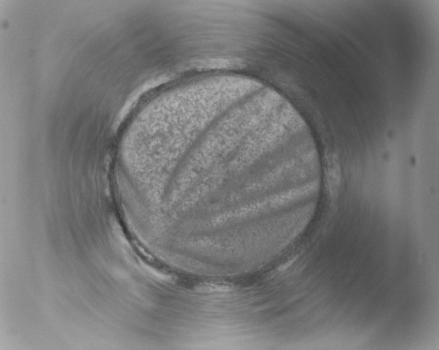 X0000051890207200507151947