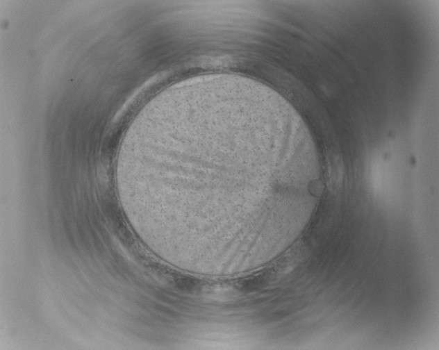 X0000051890208200507151947