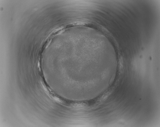 X0000051890209200507151947