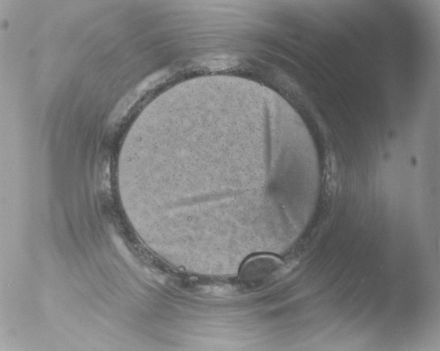 X0000051890212200507151947