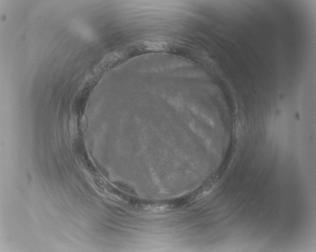 X0000051890213200507151947