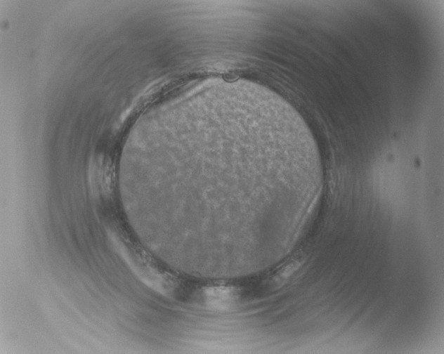 X0000051890216200507151947