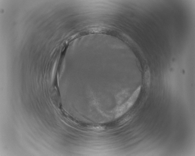 X0000051890217200507151947