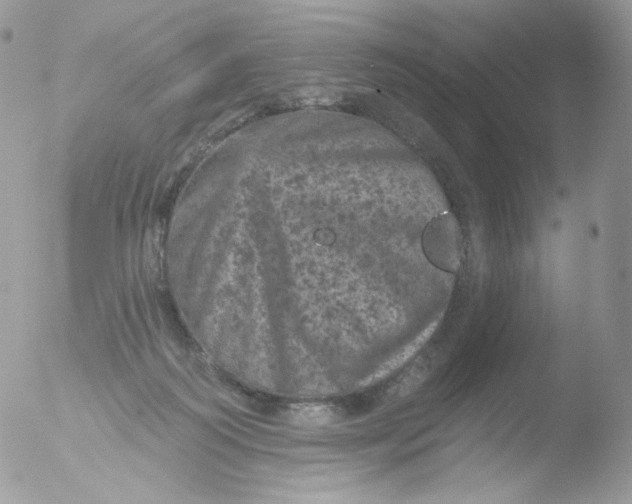 X0000051890218200507151947