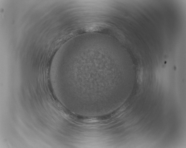 X0000051890219200507151947