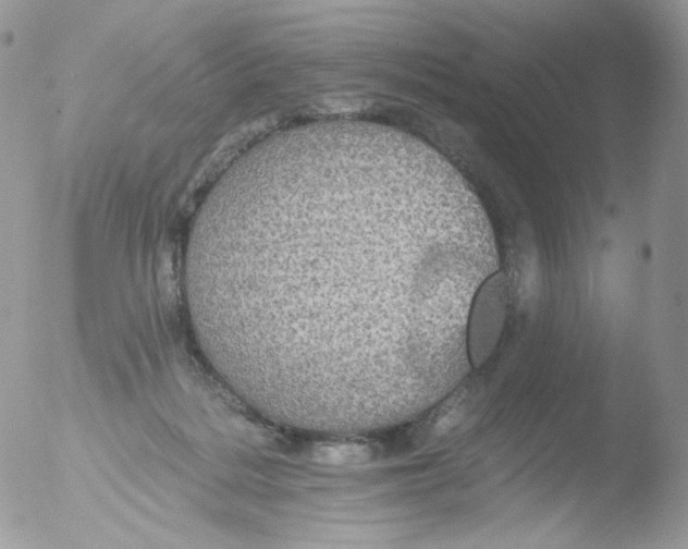 X0000051890220200507151947