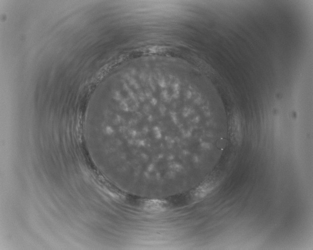 X0000051890222200507151947