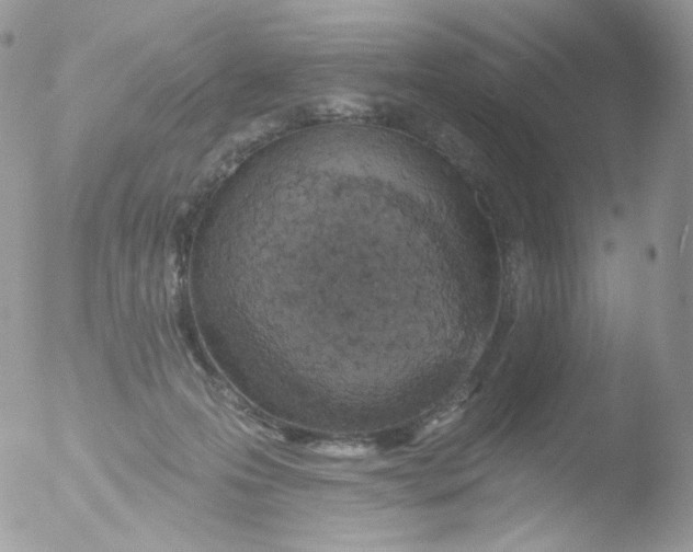 X0000051890223200507151947