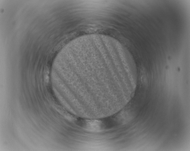 X0000051890226200507151947