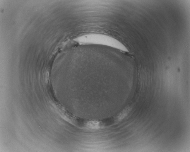 X0000051890227200507151947