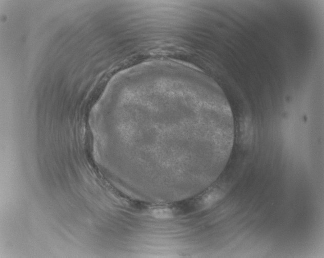 X0000051890228200507151947