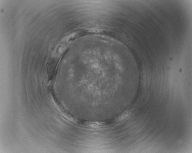 X0000051890229200507151947