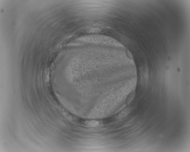 X0000051890230200507151947