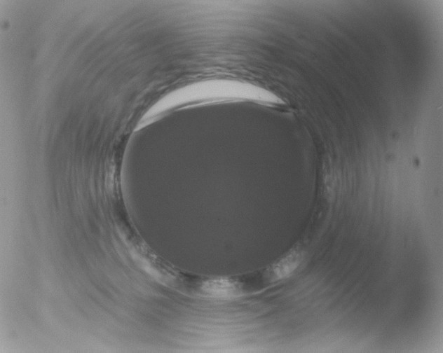 X0000051890231200507151947