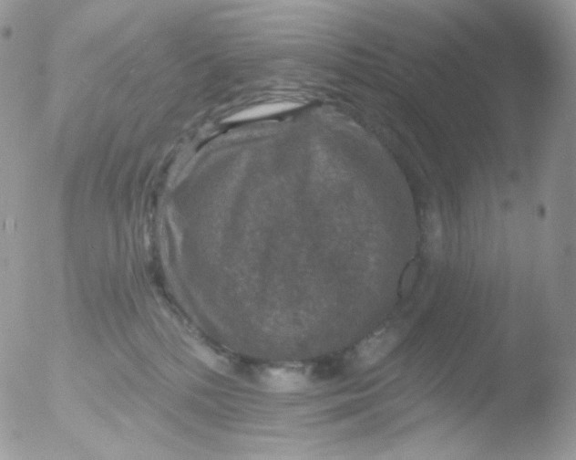 X0000051890232200507151947