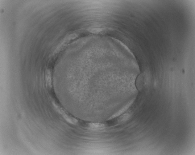 X0000051890234200507151947