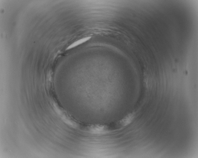 X0000051890235200507151947