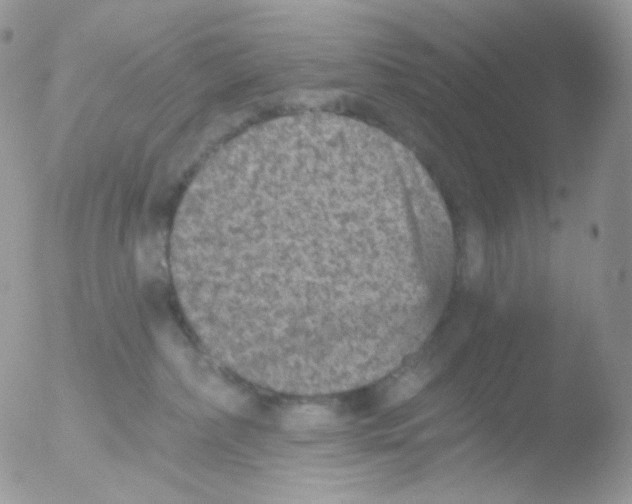 X0000051890236200507151947