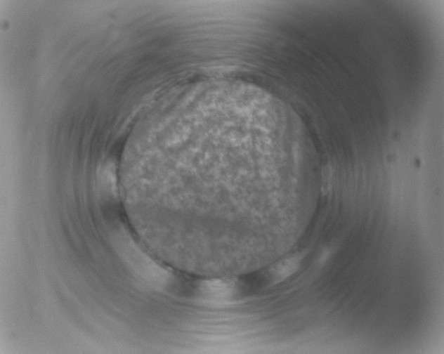 X0000051890238200507151947