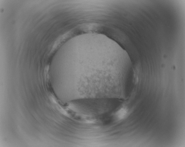 X0000051890239200507151947