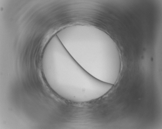 X0000051890241200507151946