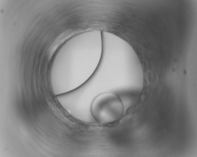 X0000051890242200507151946