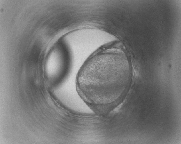 X0000051890244200507151946