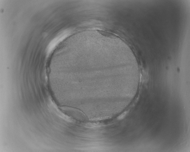 X0000051890245200507151946