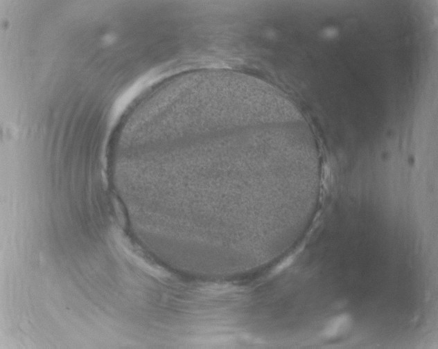 X0000051890246200507151946