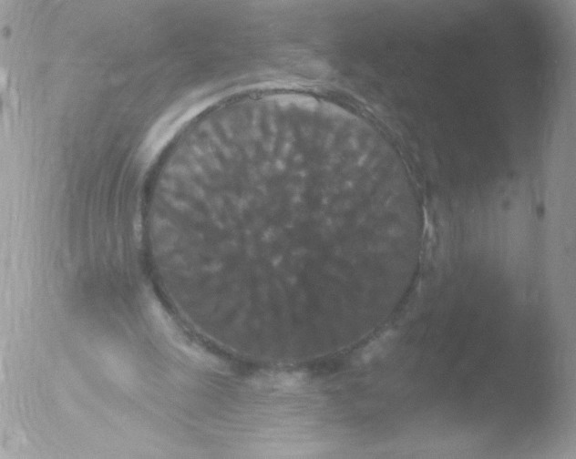 X0000051890247200507151946