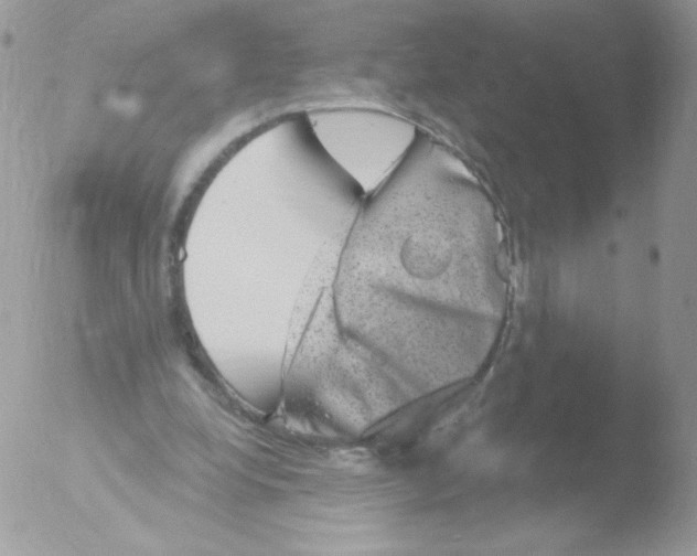 X0000051890248200507151946