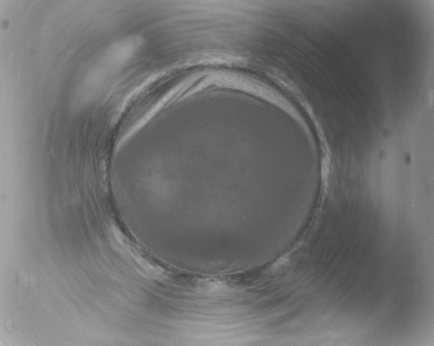 X0000051890249200507151946