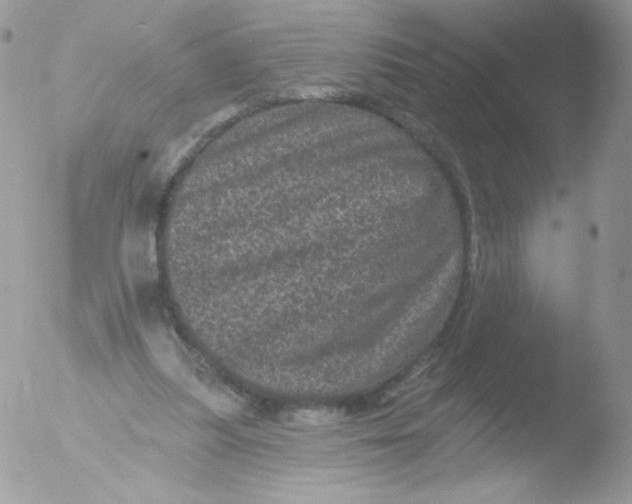 X0000051890251200507151946