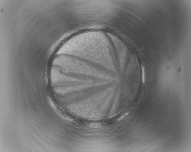 X0000051890252200507151946