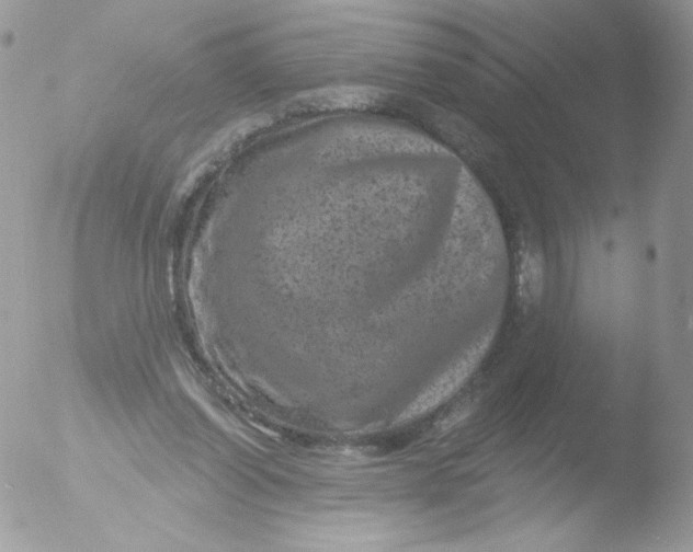 X0000051890254200507151946