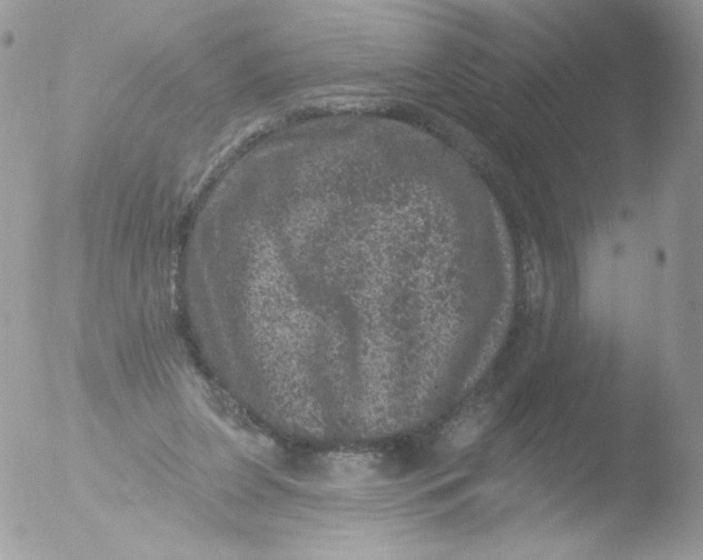 X0000051890255200507151946