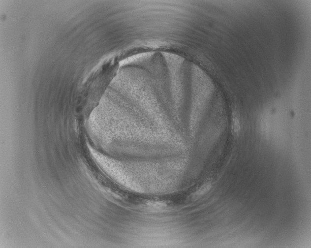 X0000051890256200507151946